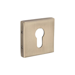 Compact Punch Rose Mortice Handles