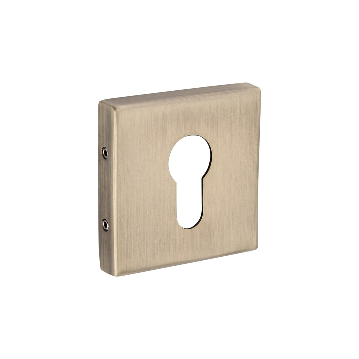 Compact Punch Rose Mortice Handles