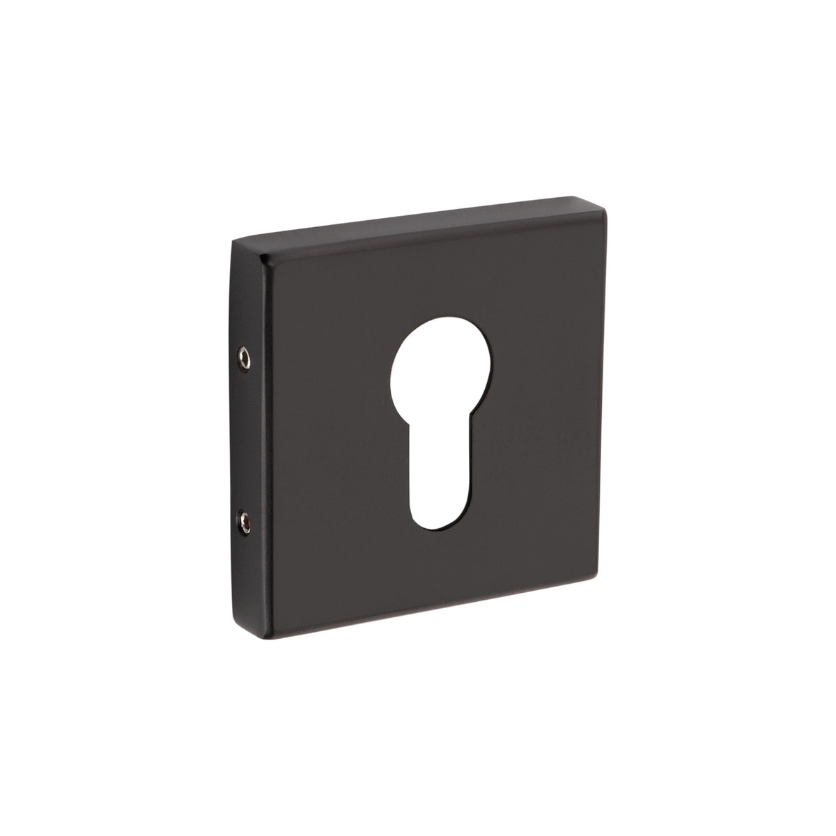 Compact Punch Rose Mortice Handles