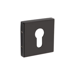 Compact Punch Rose Mortice Handles
